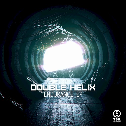 Endurance EP