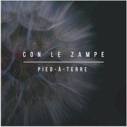 Con le zampe