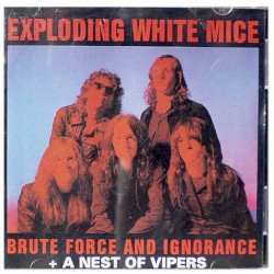 Brute Force And Ignorance