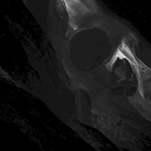 A Wake for the Sleep
