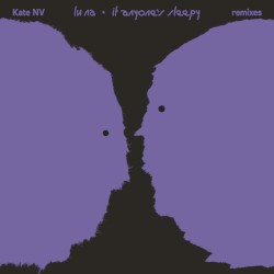 Room for the Moon Remixes