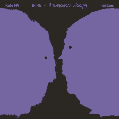 Room for the Moon Remixes