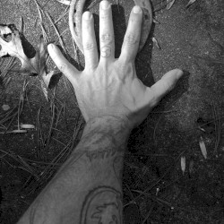 Five Poems