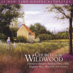 Church in the Wildwood