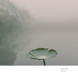 Waterlily