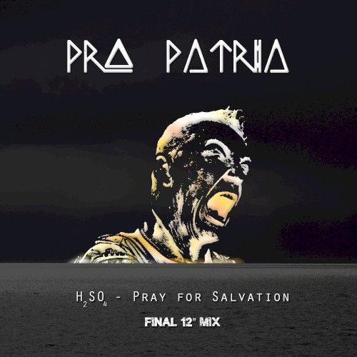 H2SO4 - Pray for Salvation - Final 12" mix