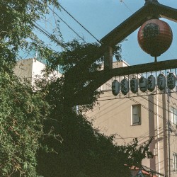 Four Seasons