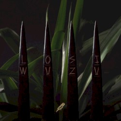 Wuzu