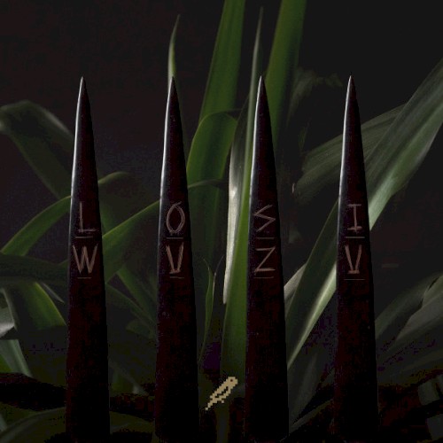 Wuzu