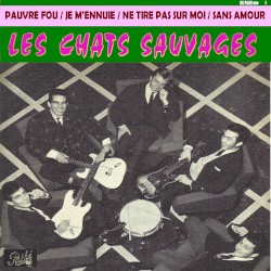 Pauvre fou