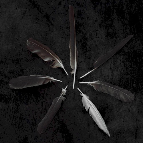 Dust and Disquiet