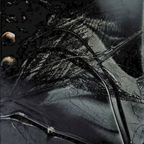 Le Manteau D'Étoiles