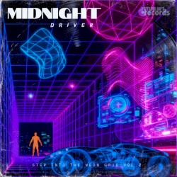 Step Into The Neon Grid 2