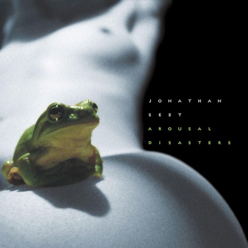 Arousal Disasters (2005)