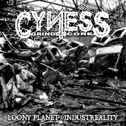 Loony Planet / Industreality