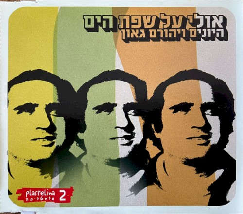 אולי על שפת הים