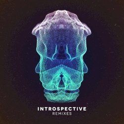 Introspective - Remixes