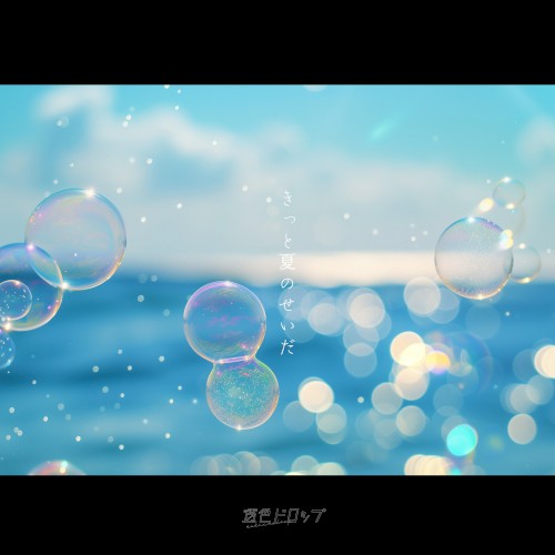 きっと夏のせいだ
