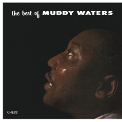 Got My Mojo Working - The Best of Muddy Waters