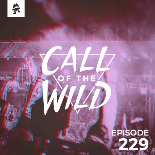 2018-12-19: 229 – Monstercat: Call of the Wild (Best of 2018 Recap)