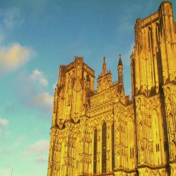 Wells Cathedral Morning