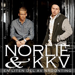 En liten del av någonting