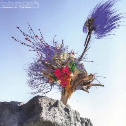 Memories in the Wind
