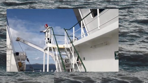 ATLANTIC TALES: SELACHOPHILIA: CETORHINUS MAXIMUS – LIMARIA HIANS immersive audiovisual narrative (7‐minute excerpt from a 33‐minute sound work)