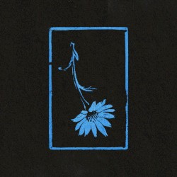 Wildflower