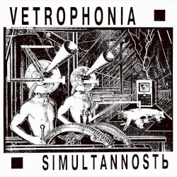 Simultannost