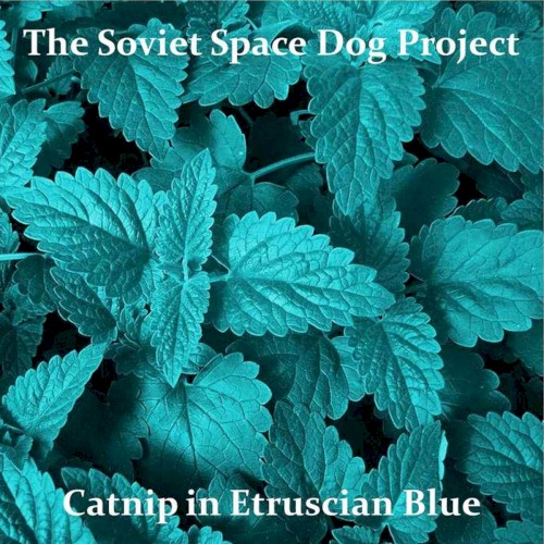 Catnip in Etruscan Blue