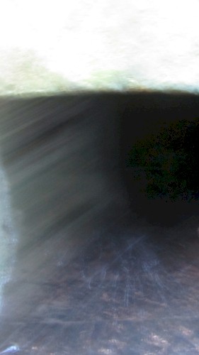try to look up