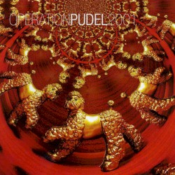 Operation Pudel 2001