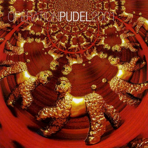 Operation Pudel 2001
