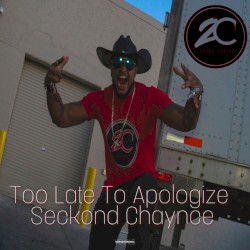 Too Late to Apologize