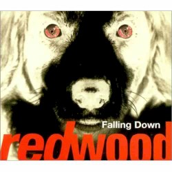 Falling Down