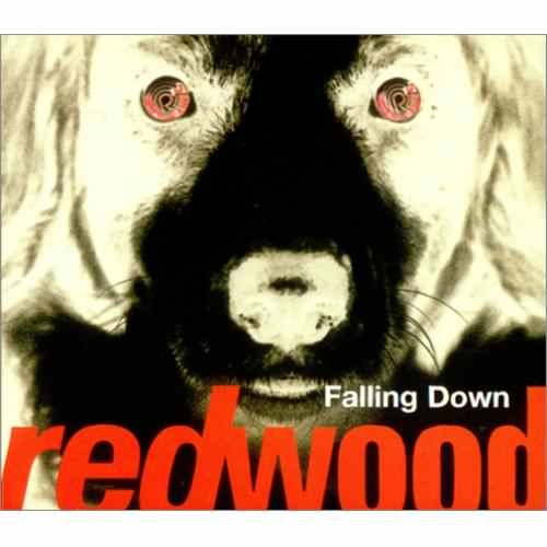 Falling Down
