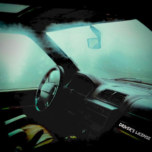 Drivers License
