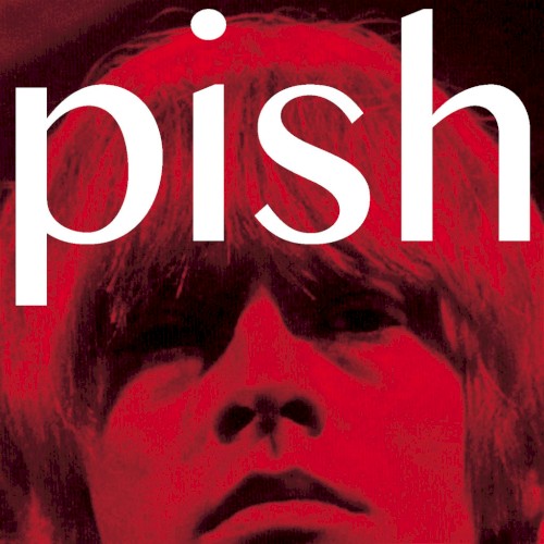 Mini Album Thingy Wingy