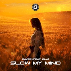 Slow My Mind