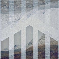Vanishing Tundra