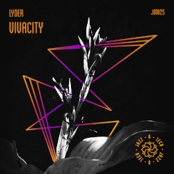 Vivacity