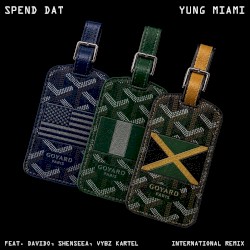 Spend Dat (International remix)