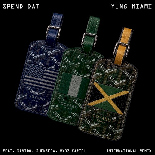Spend Dat (International remix)