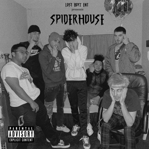 Spiderhouse
