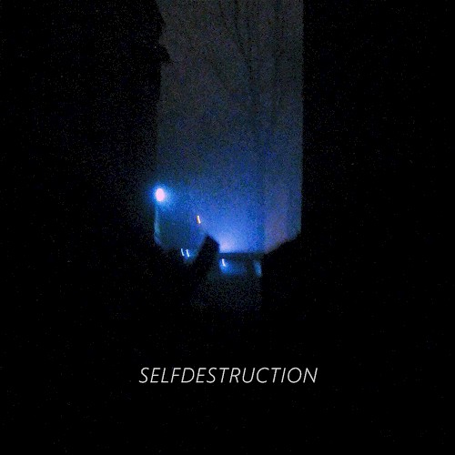 Selfdestruction