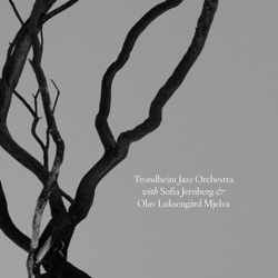 Trondheim Jazz Orchestra With Sofia Jernberg & Olav Luksengård Mjelva