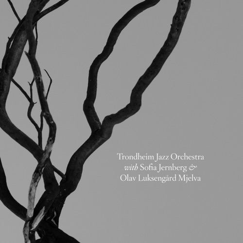 Trondheim Jazz Orchestra With Sofia Jernberg & Olav Luksengård Mjelva