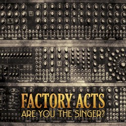 Are You the Singer?