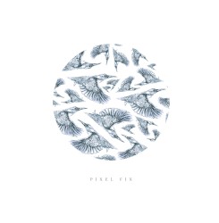 Pixel Fix